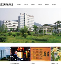 青春宝集团