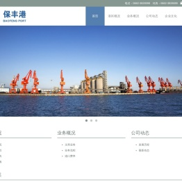 广东保丰港务有限公司