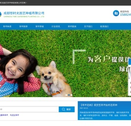 草坪批发价格