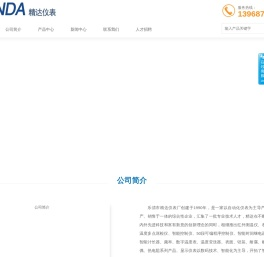 乐清市精达仪表厂