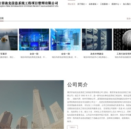 重庆菲迪克信息系统工程项目有限公司