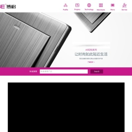 广东博格电器科技有限公司