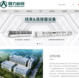 东莞市鼎力自动化科技有限公司
