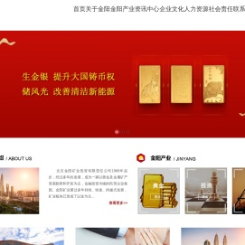北京金阳矿业投资有限责任公司