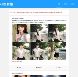 追叶图友圈