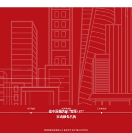 为客户提供“管理+IT”咨询服务
