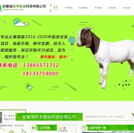 安徽省田丰牧业科技有限公司