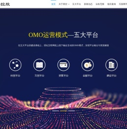 西部发展控股集团有限公司