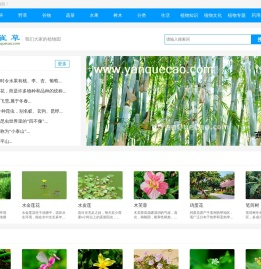 植物百科