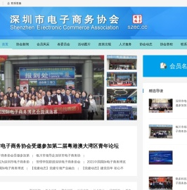 深圳市电子商务协会