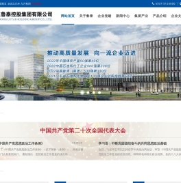 山东鲁泰控股集团有限公司