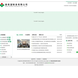 新希望财务有限公司
