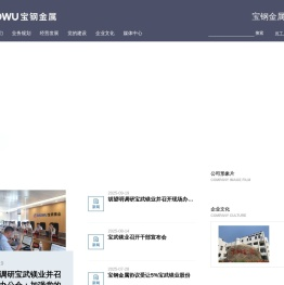 宝钢金属有限公司
