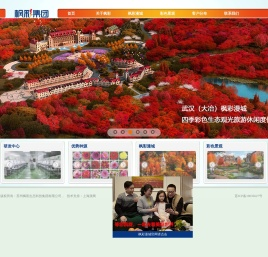 枫彩集团