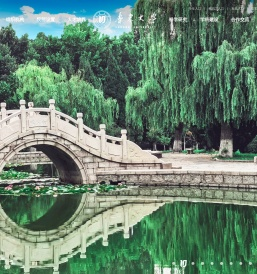 鲁东大学