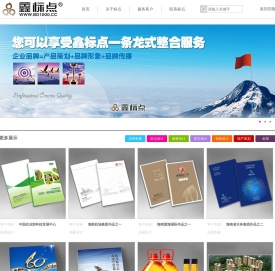 海南鑫标点广告传媒有限公司