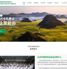 首页