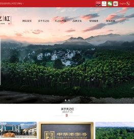 祁门红茶[天之红·祁门红茶]安徽省祁门红茶发展有限公司