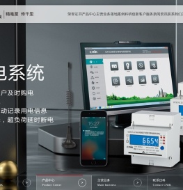 仪科仪表有限公司官网