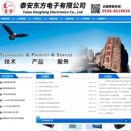 泰安东方电子有限公司