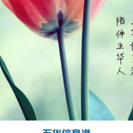 五华信息港