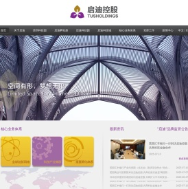 启迪控股官网