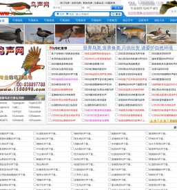 鸟声网