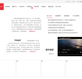 中视集团