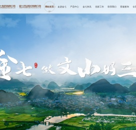 金七药业
