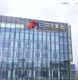 三只羊集团
