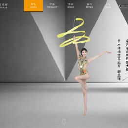 帝凡希艺术墙面定制