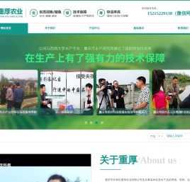 重庆泥鳅苗