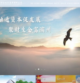 滨州市财金投资集团有限公司