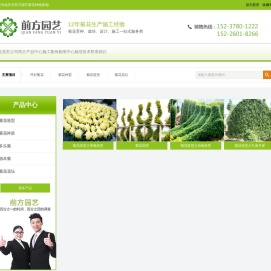 开封菊花