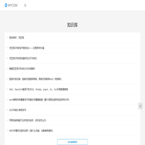 波陀软件