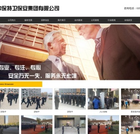 中保特卫保安服务集团有限公司