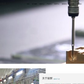 东莞市丽辉塑胶模具有限公司