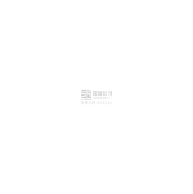 国瑞数智