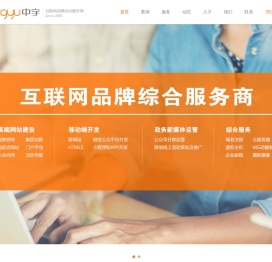 高端定制网站