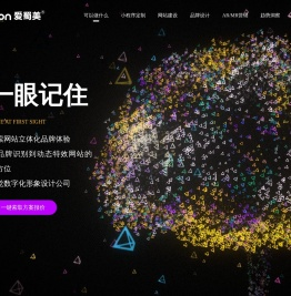 成都网站建设