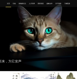 浙江宠派信息科技有限公司