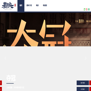 嘉映影业控股有限公司