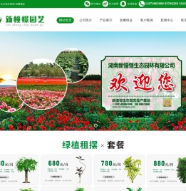 长沙花卉租摆