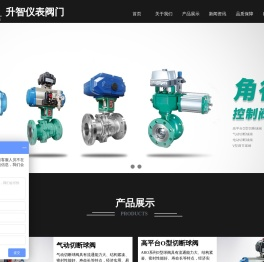 上海升智