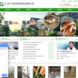 江门白蚁防治