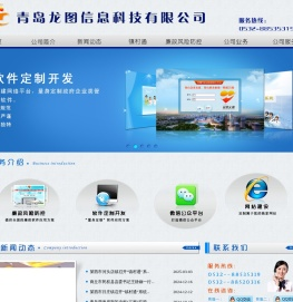 青岛龙图科技信息有限公司