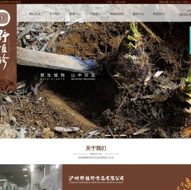 泸州野植珍食品有限公司