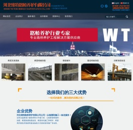 河北维特路桥养护有限公司