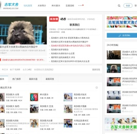 高加索,高加索犬,高加索犬舍,志军犬舍