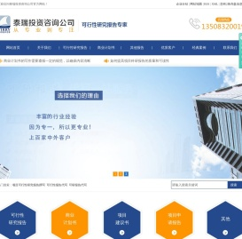 项目可行性研究报告撰写